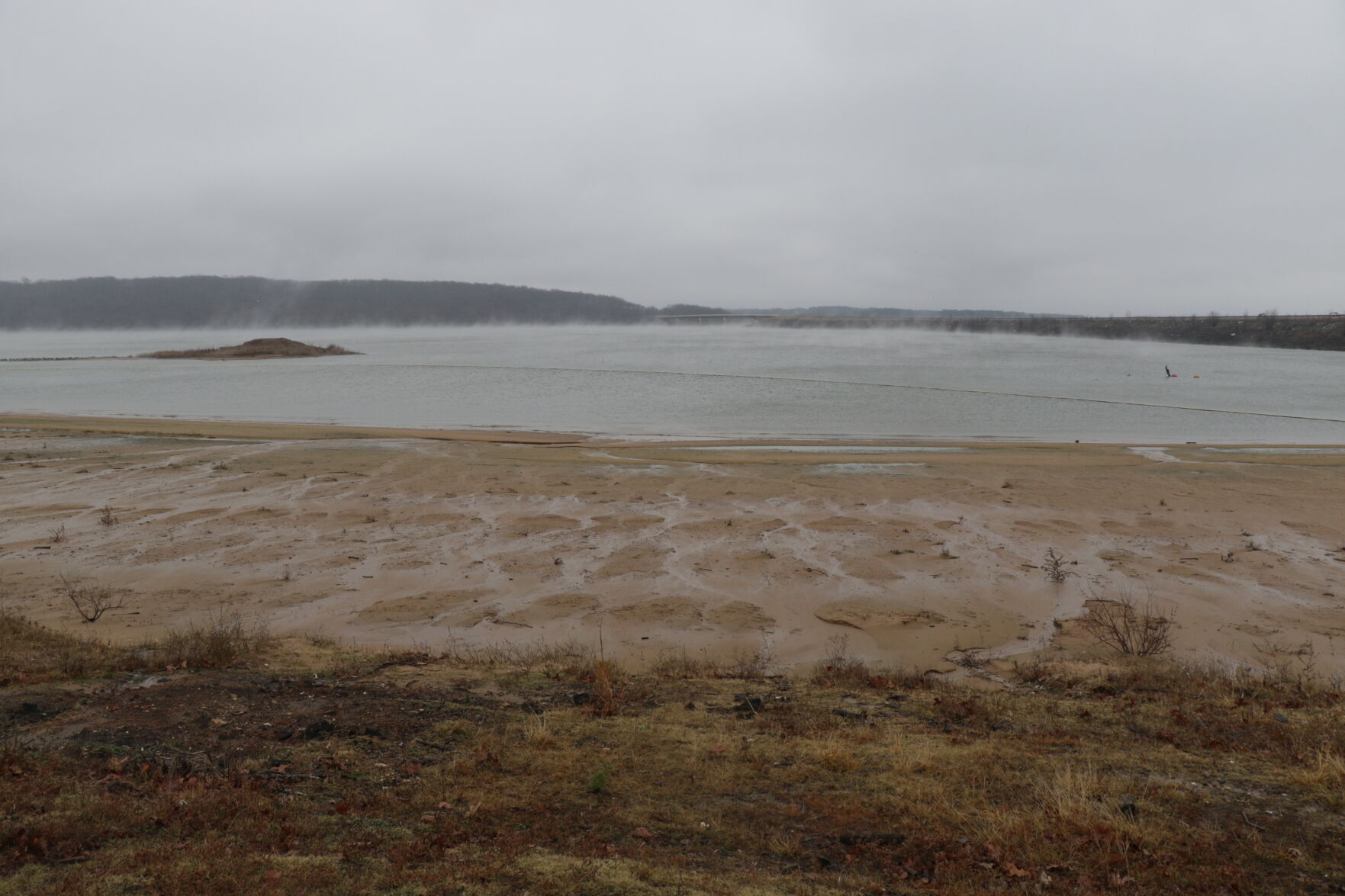Polar Plunge